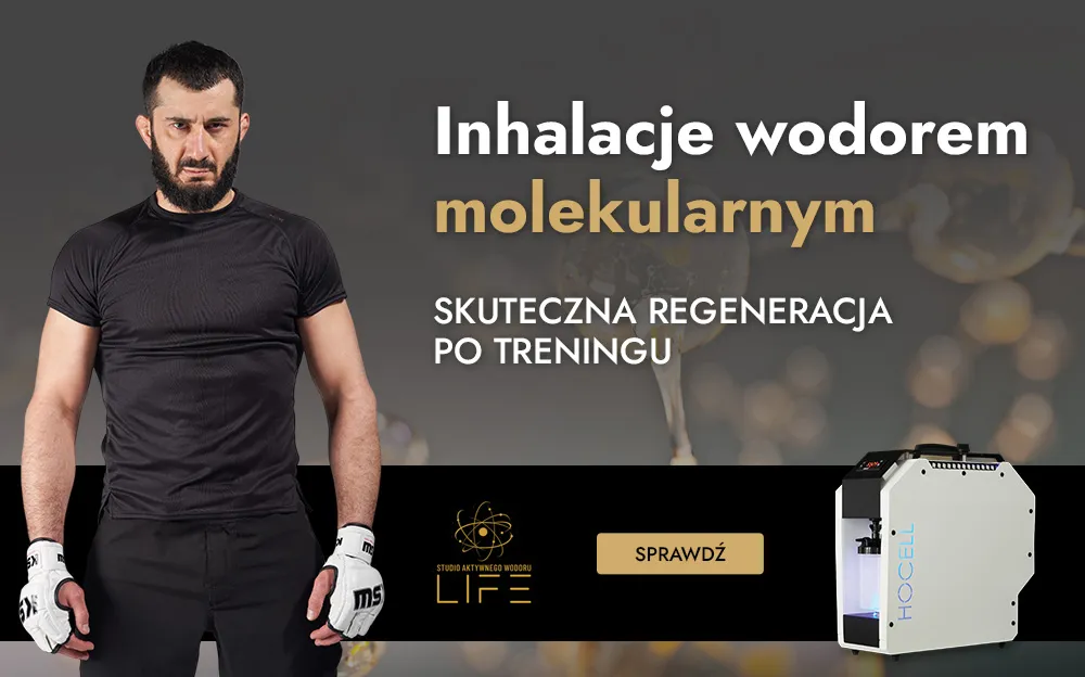 Generator wodorowo-tlenowy HOCELL HHO-1100 - WYNAJEM