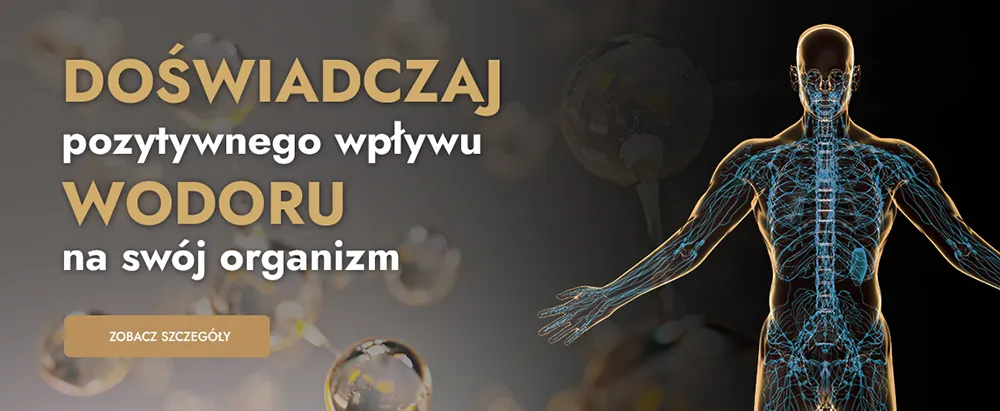 Generator wodorowo-tlenowy HOCELL HHO-1100 - WYNAJEM